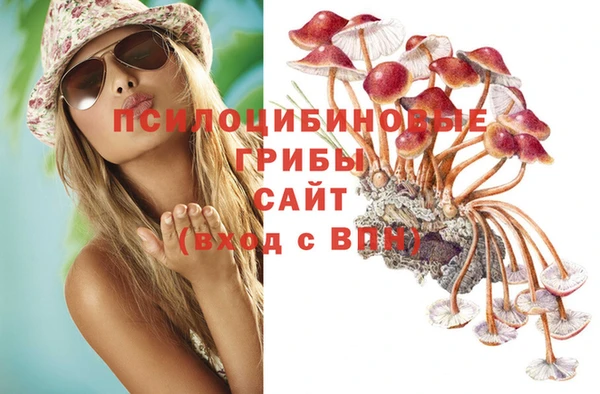 соль курить ск Алексеевка