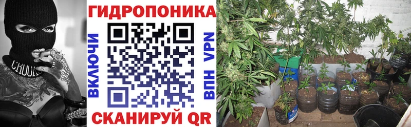 Каннабис SATIVA & INDICA  Дудинка 